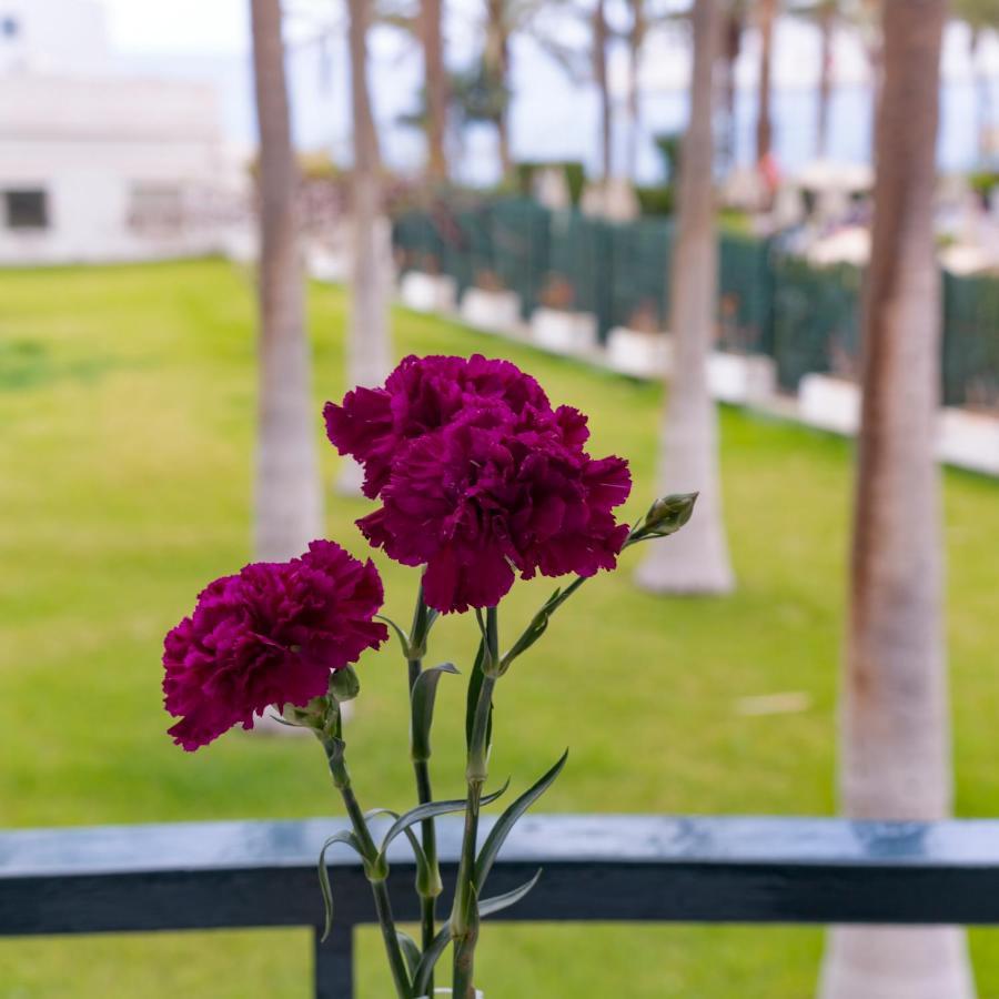 Studio Ocean Coast Los Cristianos Comodoro Ngoại thất bức ảnh